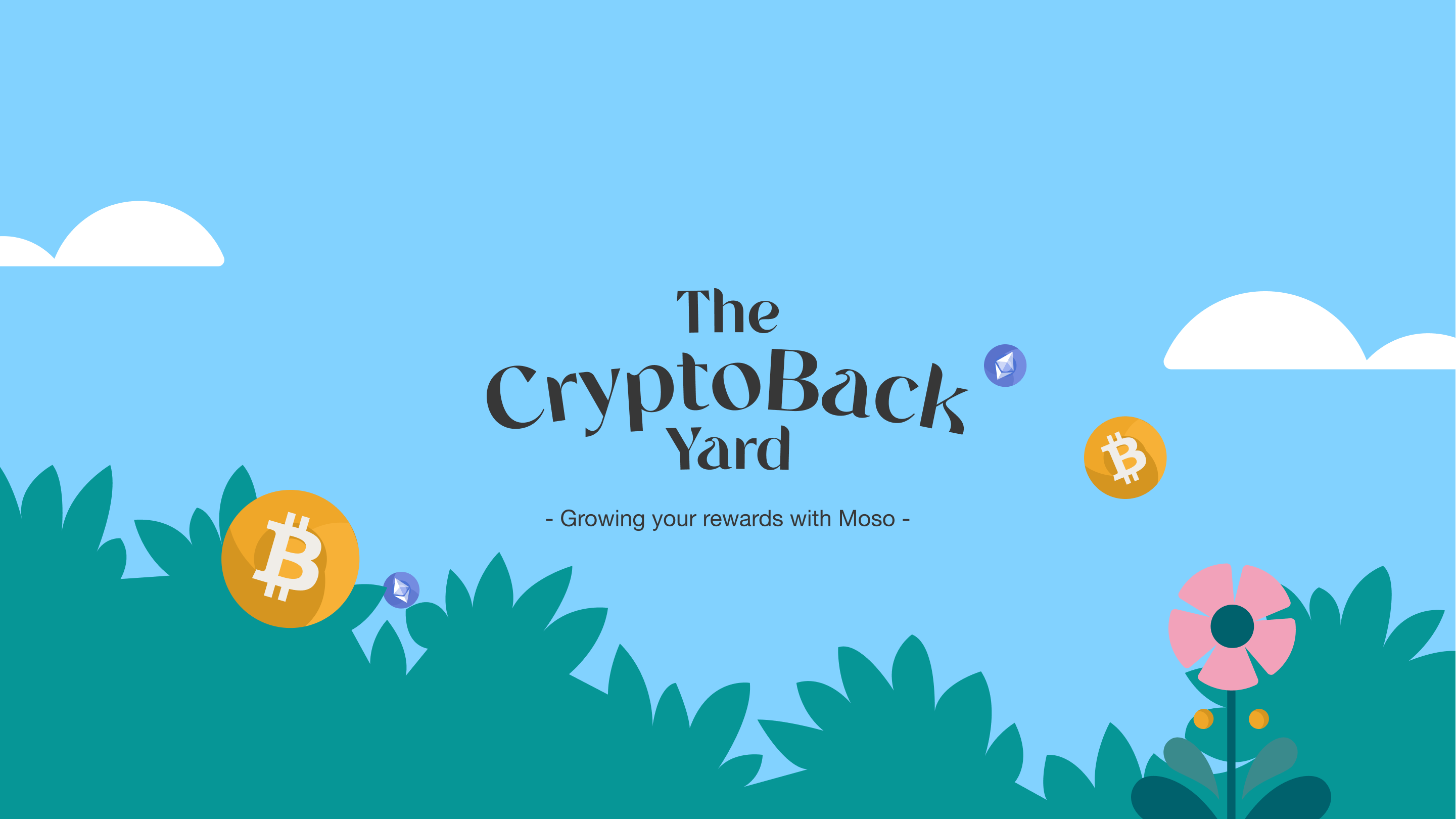 The CryptoBack Yard
