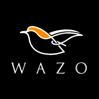 wazofurniture